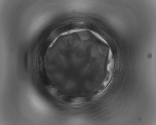 X0000091880191200709261359