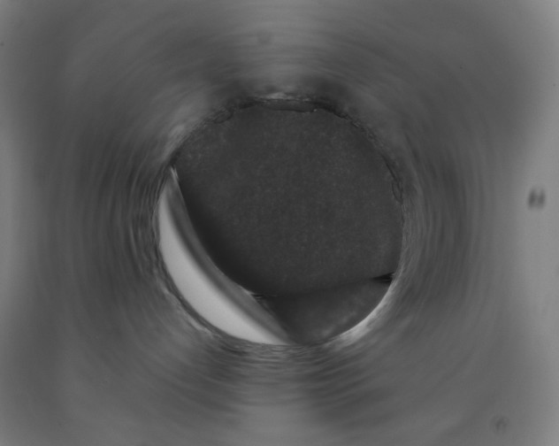 X0000091880192200709261359