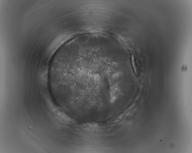 X0000091880194200709261359