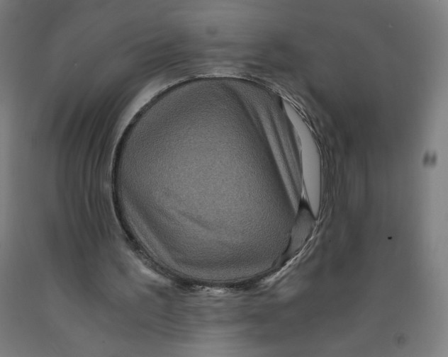 X0000091880195200709261359