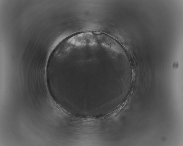 X0000091880196200709261359