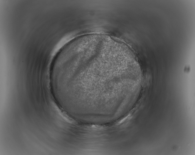 X0000091880198200709261359