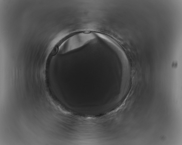 X0000091880200200709261358