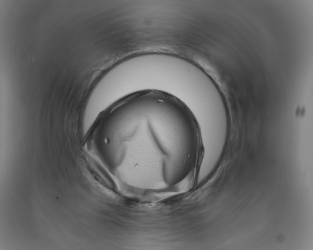 X0000091880201200709261358