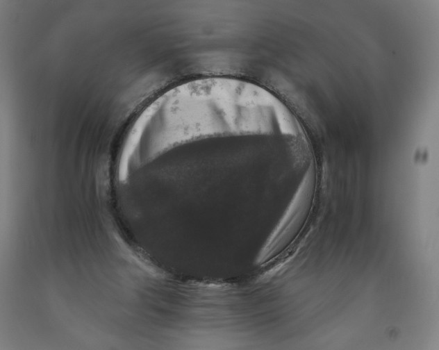 X0000091880202200709261358