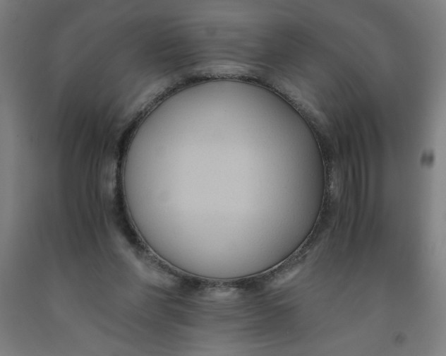 X0000091880206200709261358