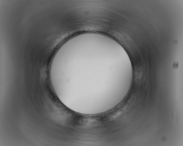 X0000091880208200709261358