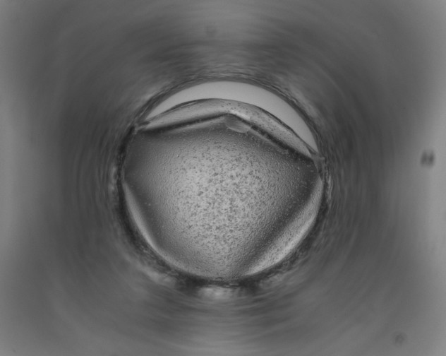 X0000091880211200709261358