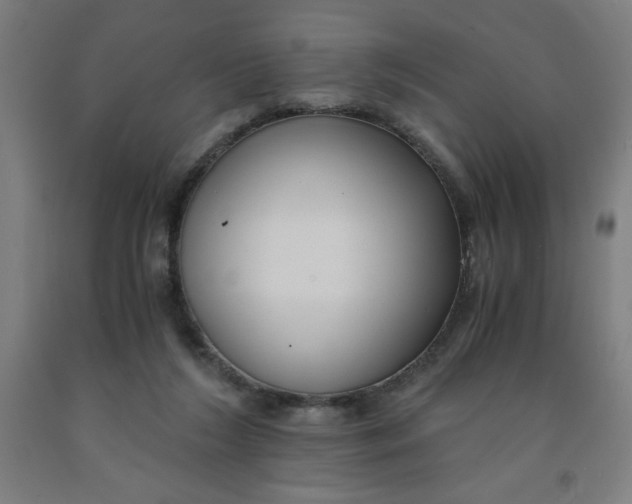 X0000091880212200709261358