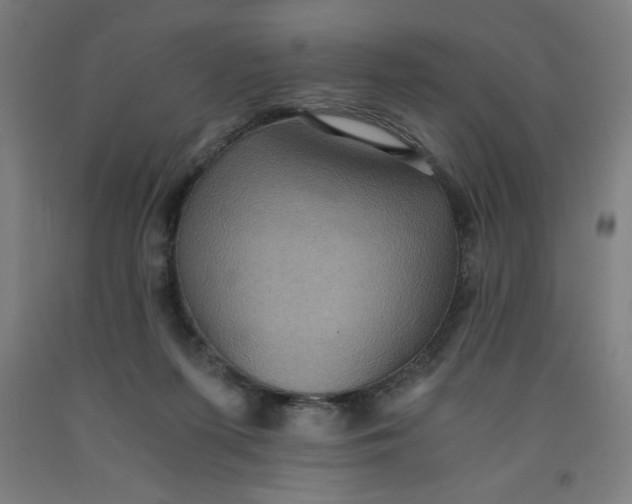 X0000091880215200709261358