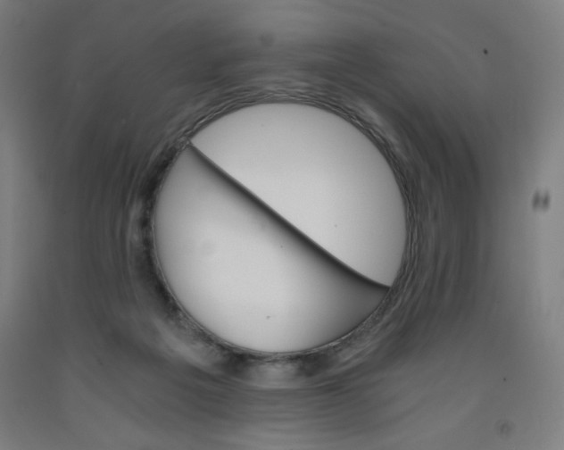 X0000091880217200709261358