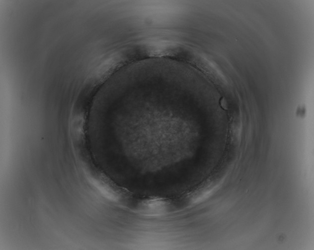 X0000091880219200709261358