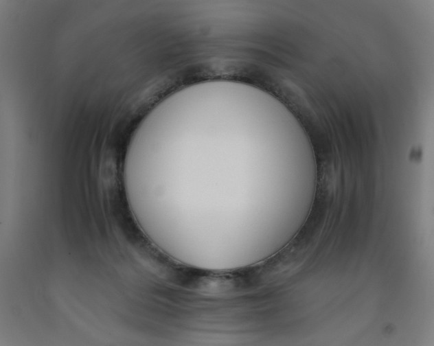 X0000091880220200709261358