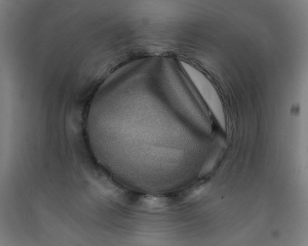 X0000091880221200709261358