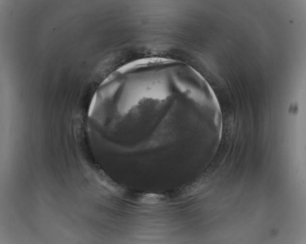 X0000091880222200709261358