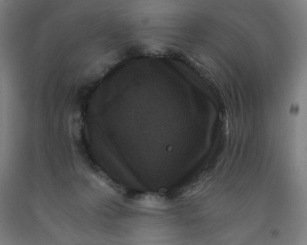 X0000091880223200709261358