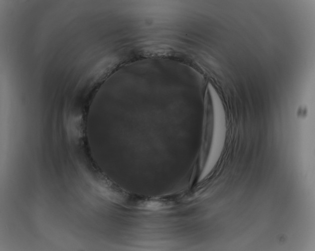 X0000091880224200709261358