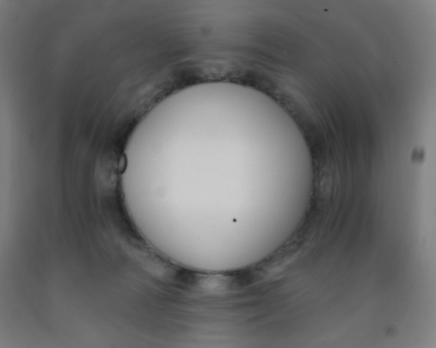 X0000091880226200709261358