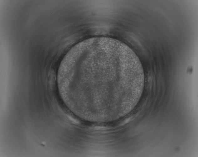 X0000091880228200709261358