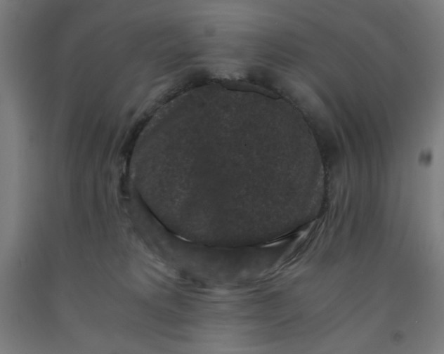 X0000091880229200709261358