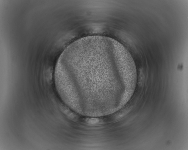 X0000091880230200709261358