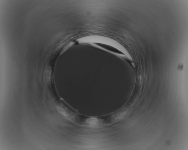 X0000091880231200709261358