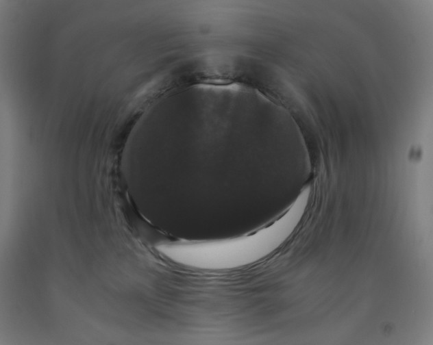 X0000091880233200709261358