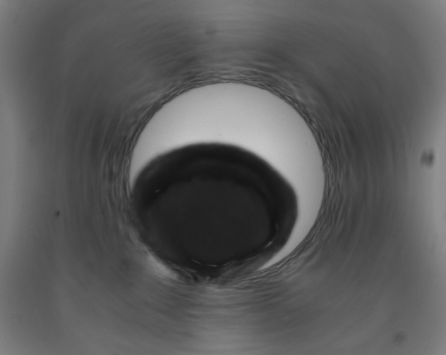 X0000091880235200709261358