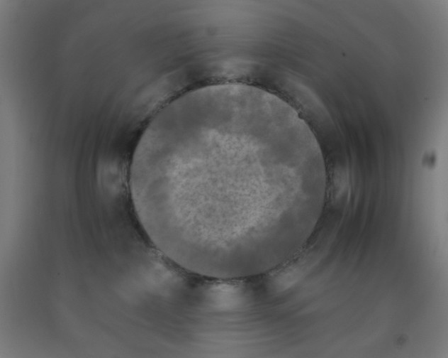 X0000091880236200709261358