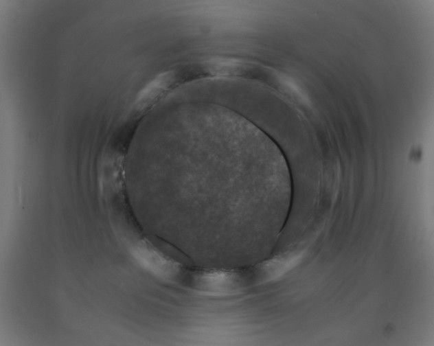 X0000091880237200709261358