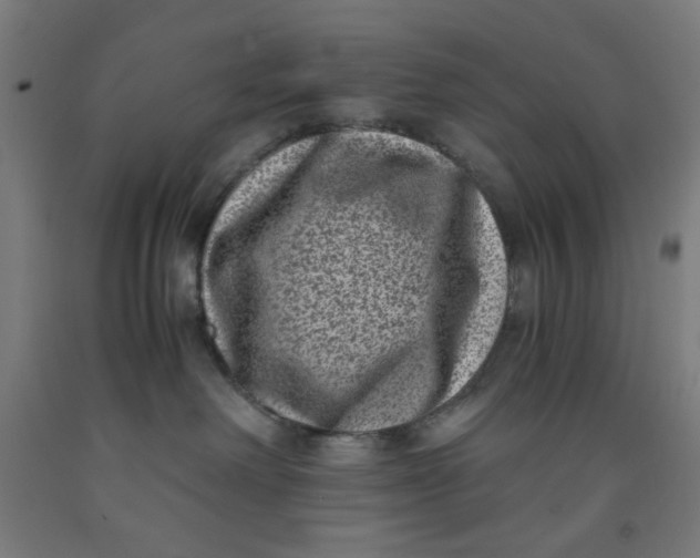 X0000091880238200709261358