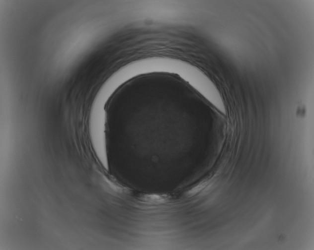 X0000091880239200709261358