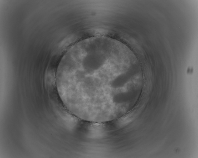 X0000091880240200709261358