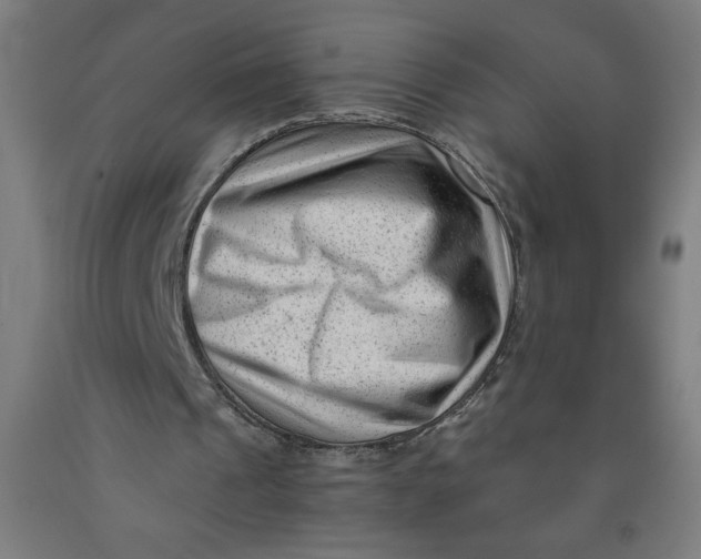 X0000091880241200709261357