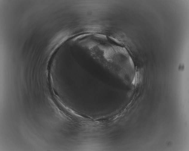 X0000091880243200709261357