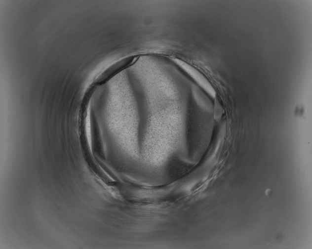 X0000091880244200709261357