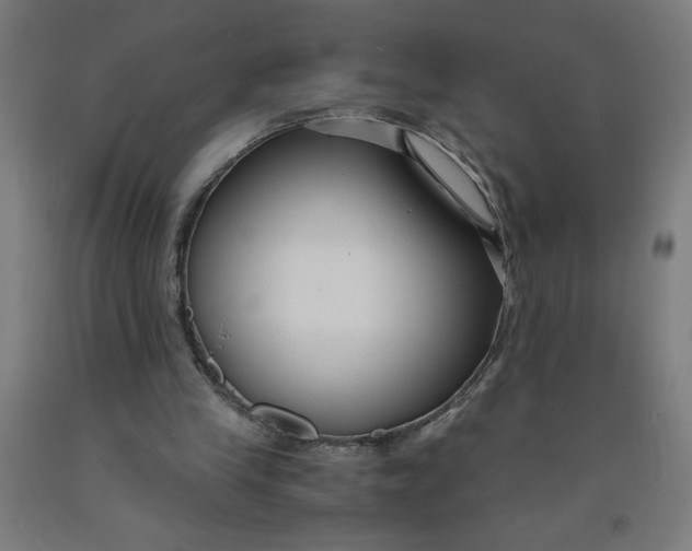 X0000091880245200709261357