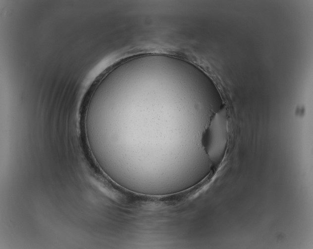 X0000091880246200709261357