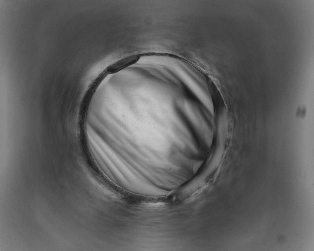 X0000091880248200709261357