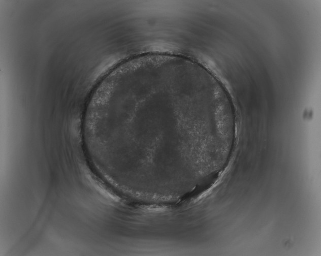 X0000091880249200709261357