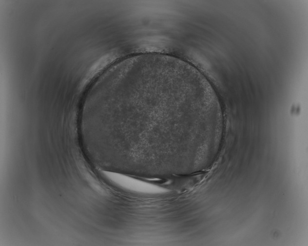 X0000091880250200709261357