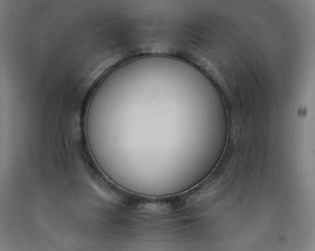 X0000091880251200709261357