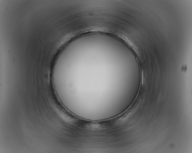 X0000091880253200709261357