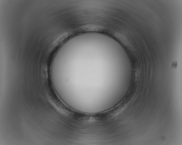 X0000091880254200709261357