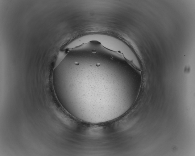 X0000091880257200709261357