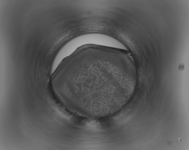 X0000091880258200709261357