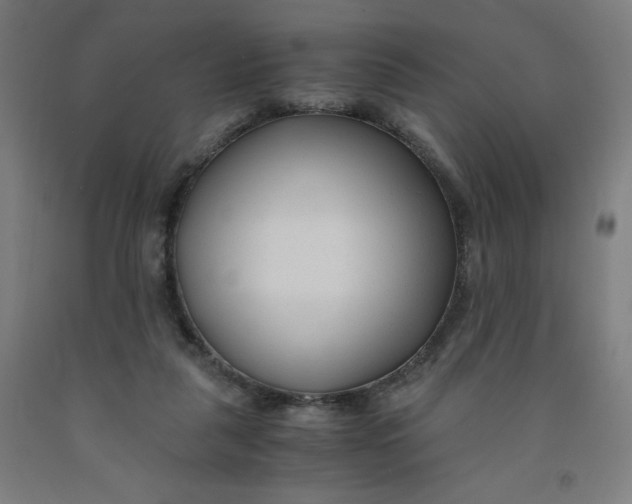 X0000091880259200709261357