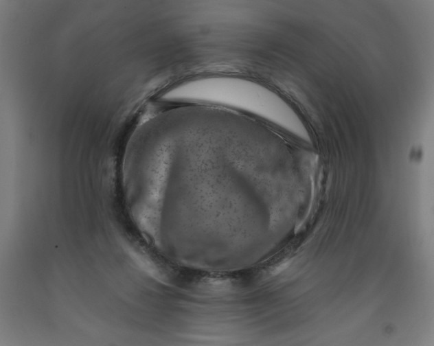 X0000091880260200709261357