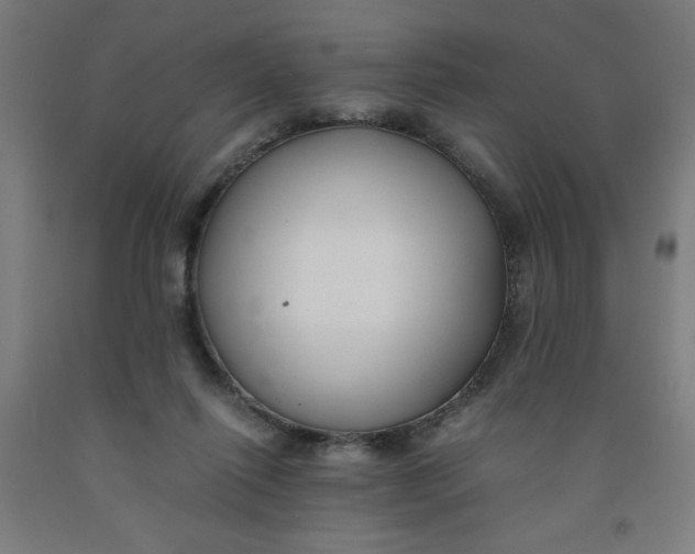 X0000091880262200709261357