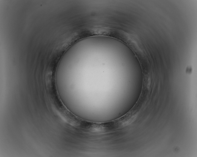 X0000091880263200709261358